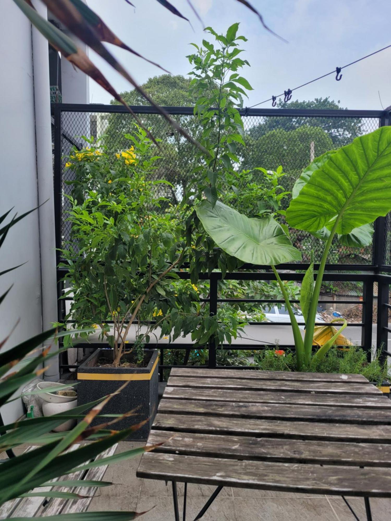 Agk House - Homestay - 406 Xo Viet Nghe Tinh, P25, Binh Thanh, Gan Nga 4 Hang Xanh Bandar Ho Chi Minh Luaran gambar